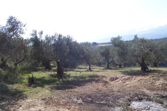Photo01